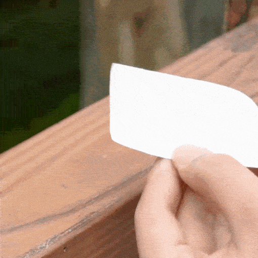 Clear PVC Bird Spike Strips