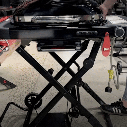 Traveler Compact Portable Gas Grill