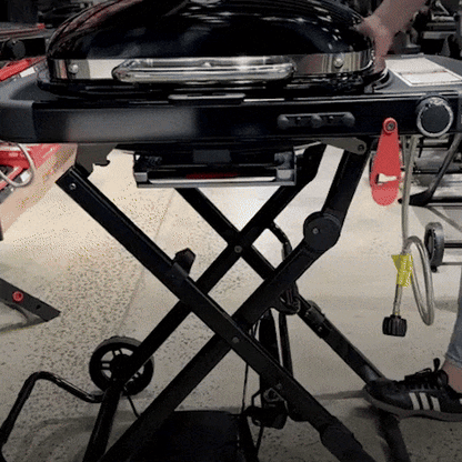 Traveler Compact Portable Gas Grill