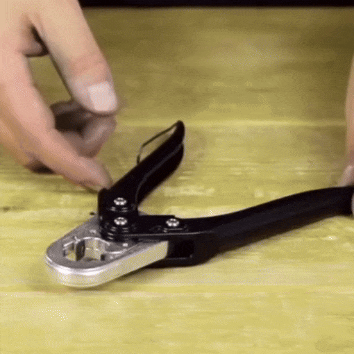 Olive Removing Tool