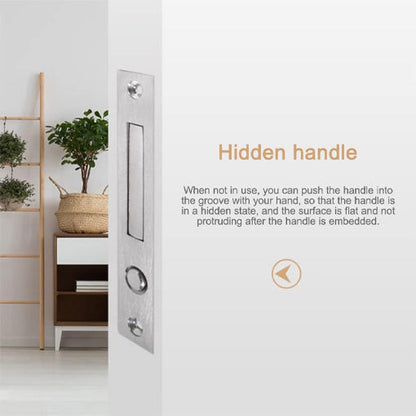 Pocket Door Handle and Edge Pull